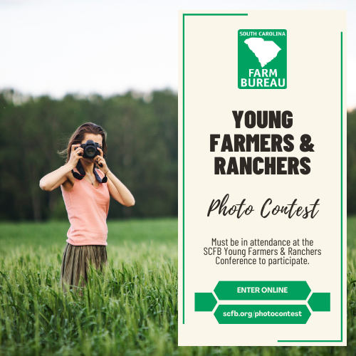 YF&R Photo Contest