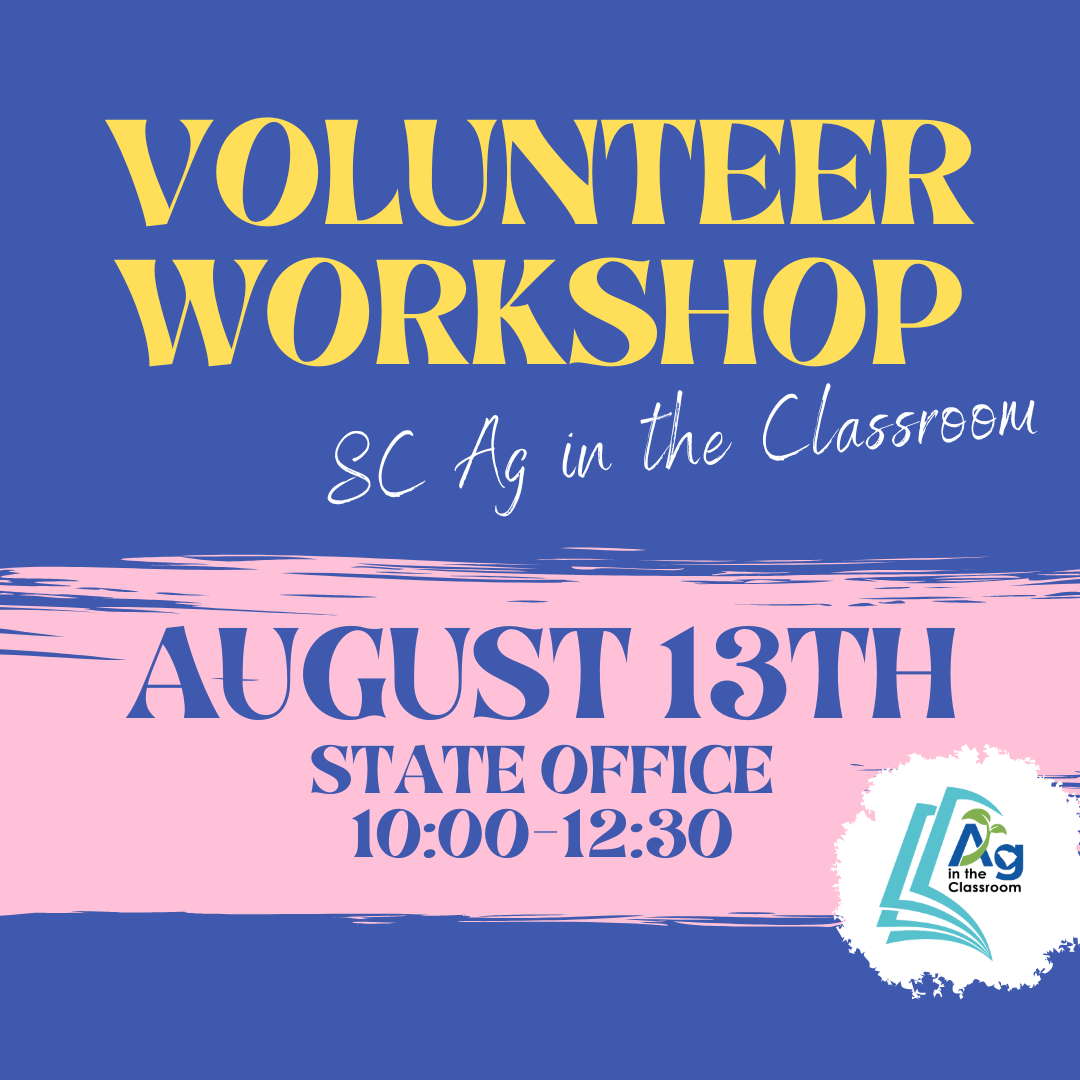 Volunteer Workshop