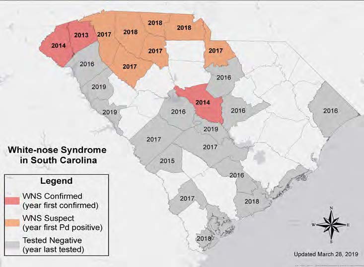 Map of white-nose syndrome in SC