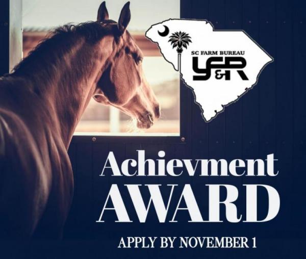 Achievement Award