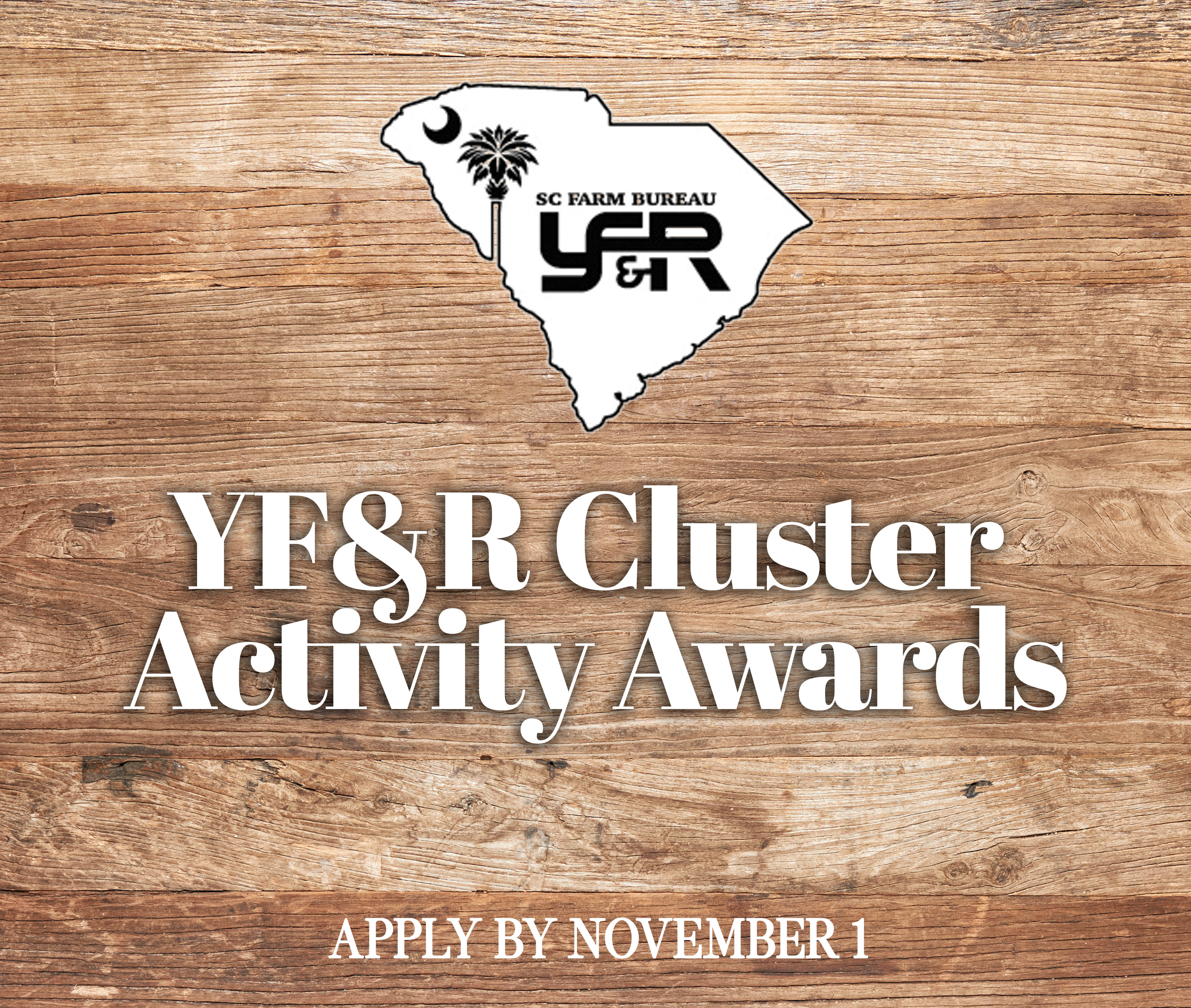 YF and R Cluster Activity Award ad
