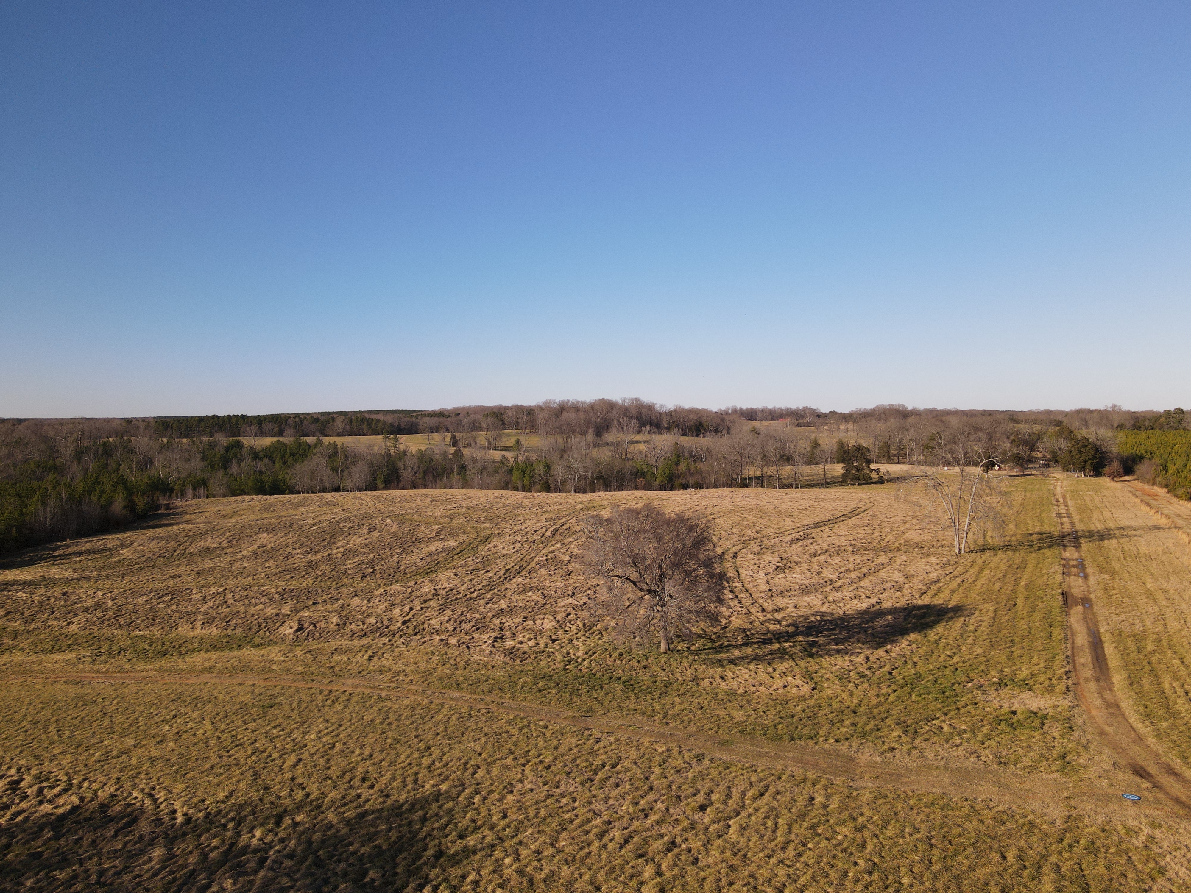 Thrailkill Farm