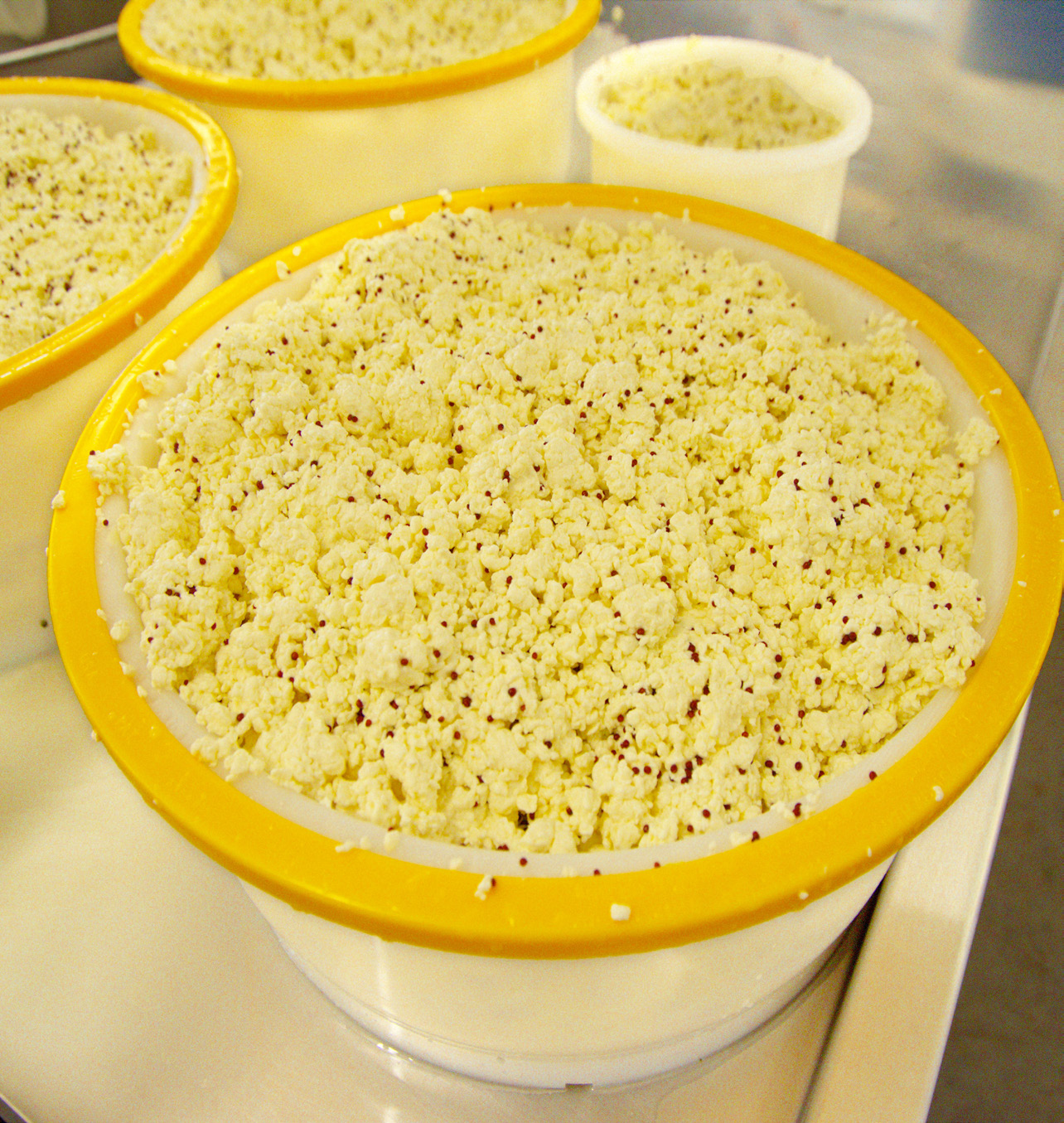 Closeup of piles of raw cheese