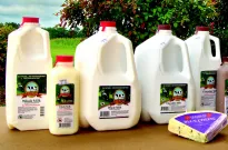 Various jugs of milk with a block of cheese