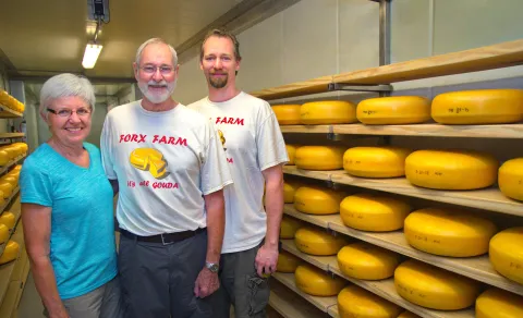 Three people posing with wheels of cheese