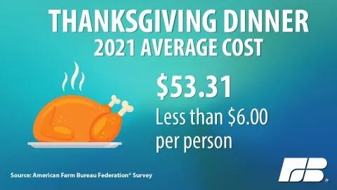 2021 average cost of Thanksgiving dinner is 53.31