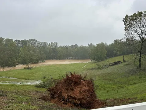 Hurricane Helene damage