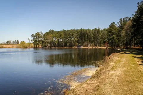 Lexington County dam