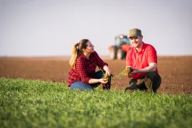 Farmers in field