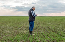 Farmer in a field