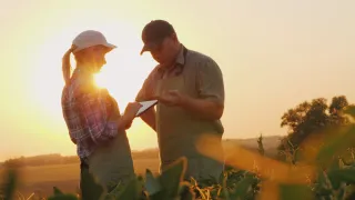 Mentors helping