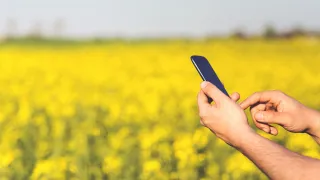 Cellphone in the field