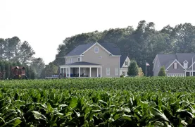 Homes with crops in foreground.